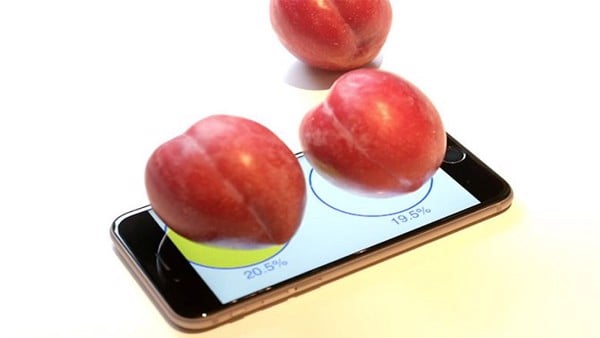 Mẹo biến iPhone thành cân di động để cân đồ vật mọi lúc mọi nơi di động v24h